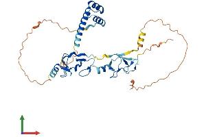Protein Structure (PS) image for ISL LIM Homeobox 1 (ISL1) (AA 1-349) protein (His tag) (ABIN7556585)