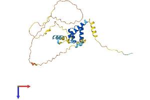 GSC Protein (AA 1-257) (His tag)