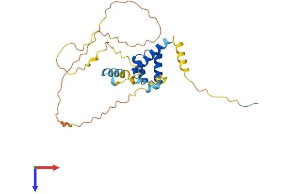 GSC Protein (AA 1-257) (His tag)