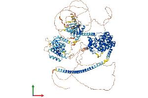 Protein Structure (PS) image for TBC1 (Tre-2/USP6, BUB2, Cdc16) Domain Family, Member 1 (TBC1D1) (AA 1-1255) protein (His tag) (ABIN7563888)