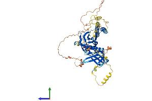 AlphaFold protein structure predicition of Human Recombinant RTKN Protein, UniprotID Q9BST9 (Rhotekin Protein (RTKN) (AA 1-563) (His tag))