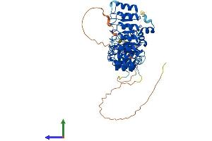 Protein Structure (PS) image for F-Box and Leucine-Rich Repeat Protein 7 (FBXL7) (AA 1-491) protein (His tag) (ABIN7547677)