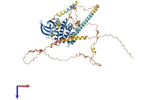 NEK5 Protein (AA 1-627) (His tag)