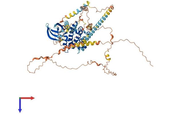 NEK5 Protein (AA 1-627) (His tag)
