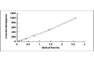 Typical standard curve (VEGFA ELISA Kit)