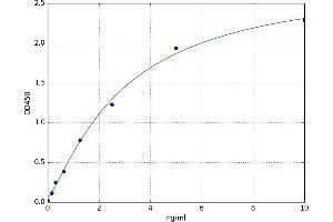A typical standard curve