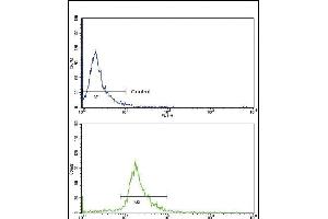 Flow cytometric analysis of NCI- cells using C Antibody (Center )(bottom histogram) compared to a negative control cell (top histogram).