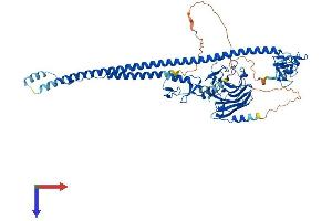 TRIM25 Protein (AA 1-634) (His tag)
