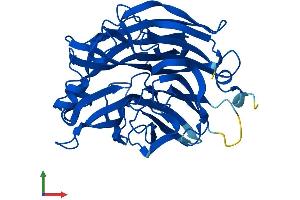 Protein Structure (PS) image for Sialidase 2 (Cytosolic Sialidase) (NEU2) (AA 1-379) protein (His tag) (ABIN7561712)