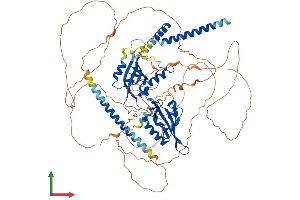 Protein Structure (PS) image for Neuronal PAS Domain Protein 2 (NPAS2) (AA 1-816) protein (His tag) (ABIN7563551)
