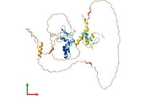 Protein Structure (PS) image for IKAROS Family Zinc Finger 5 (Pegasus) (IKZF5) (AA 1-419) protein (His tag) (ABIN7548476)