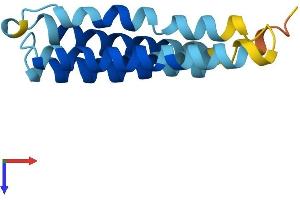 LEPROTL1 Protein (AA 1-131) (His tag)