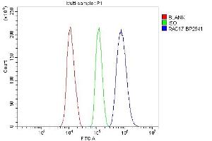 Flow Cytometry analysis of HEPA1-6 cells using anti-Rad17 antibody (ABIN7599188).