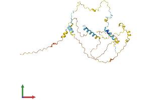 AlphaFold protein structure predicition of Human Recombinant FYTTD1 Protein, UniprotID Q96QD9