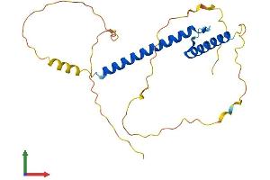 Protein Structure (PS) image for Neurogenin 1 (NEUROG1) (AA 1-244) protein (His tag) (ABIN7556729)