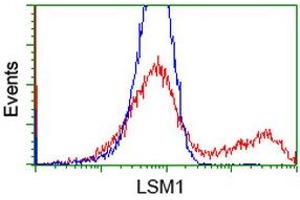 HEK293T cells transfected with either RC200288 overexpress plasmid (Red) or empty vector control plasmid (Blue) were immunostained by anti-LSM1 antibody (ABIN2454726), and then analyzed by flow cytometry. (LSM1 Antikörper  (AA 1-133))