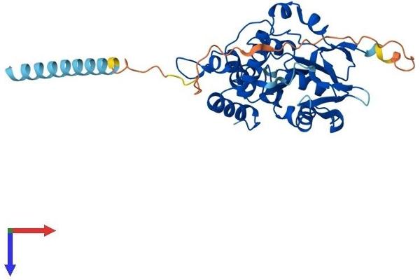 HS3ST5 Protein (AA 1-346) (His tag)