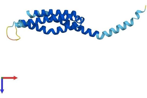ALOX5AP Protein (AA 1-161) (His tag)