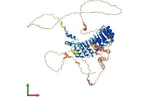 Protein Structure (PS) image for F-Box and Leucine-Rich Repeat Protein 17 (FBXL17) (AA 1-701) protein (His tag) (ABIN7561836)