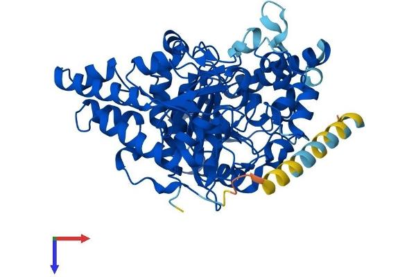 FAAH2 Protein (AA 1-532) (His tag)
