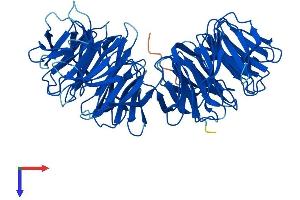 WDR16 Protein (AA 1-620) (His tag)