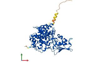 AlphaFold protein structure predicition of Mouse Recombinant Acod1 Protein, UniprotID P54987