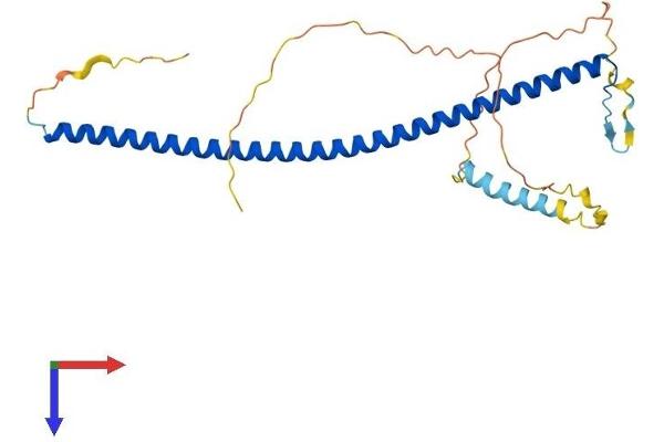 PRKCDBP Protein (AA 1-260) (His tag)