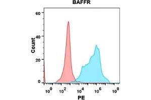 Flow Cytometry (FACS) image for anti-Tumor Necrosis Factor Receptor Superfamily, Member 13C (TNFRSF13C) (AA 7-71) antibody (ABIN7092943)
