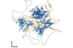 Protein Structure (PS) image for Lysine (K)-Specific Demethylase 3A (KDM3A) (AA 1-1321) protein (His tag) (ABIN7554327)