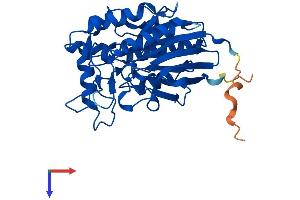 ADPRM Protein (AA 1-342) (His tag)