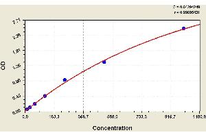 ELISA image for Calcitonin-Related Polypeptide alpha (CALCA) ELISA Kit (ABIN1113889) (CGRP ELISA Kit)