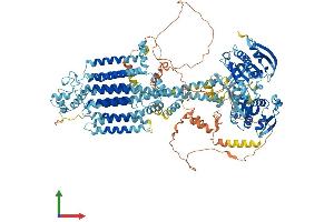 Protein Structure (PS) image for Adenylate Cyclase 5 (ADCY5) (AA 1-1261) protein (His tag) (ABIN7552006)