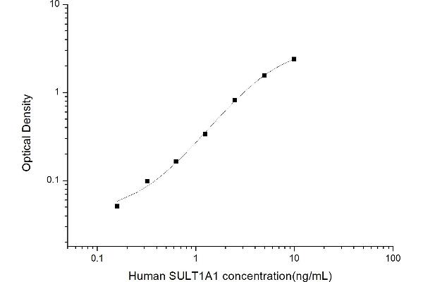 SULT1A1 ELISA Kit