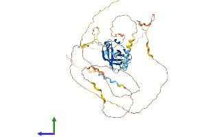 Protein Structure (PS) image for Nuclear ssembly factor 1 ribonucleoprotein (NAF1) (AA 1-494) protein (His tag) (ABIN7549684)