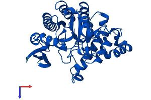 ACMSD Protein (AA 1-336) (His tag)