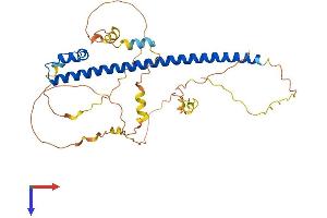 MAFA Protein (AA 1-353) (His tag)