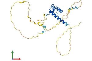 Protein Structure (PS) image for Caudal Type Homeobox 1 (CDX1) (AA 1-265) protein (His tag) (ABIN7553229)