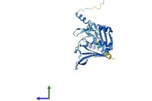 Protein Structure (PS) image for Ribosome Production Factor 2 Homolog (RPF2) (AA 1-306) protein (His tag) (ABIN7551513)