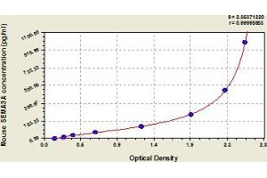 SEMA3A ELISA Kit