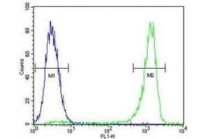 Flow Cytometry (FACS) image for anti-Vascular Endothelial Growth Factor C (VEGFC) (AA 20-49) antibody (ABIN3029579)