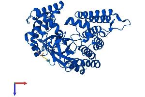 SMYD2A Protein (AA 1-433) (His tag)