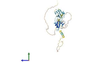 Protein Structure (PS) image for Doublecortin (DCX) (AA 1-366) protein (His tag) (ABIN7562662)