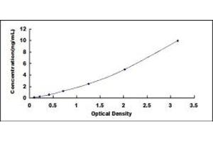 Typical standard curve (BAI3 ELISA Kit)