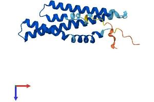 Mtfp1 Protein (AA 1-166) (His tag)