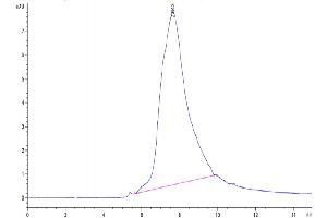 Size-exclusion chromatography-High Pressure Liquid Chromatography (SEC-HPLC) image for Sclerostin (SOST) (AA 24-213) protein (His-Avi Tag,Biotin) (ABIN7275637)
