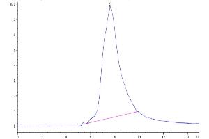 The purity of Biotinylated Human SOST is greater than 95 % as determined by SEC-HPLC. (Sclerostin Protein (SOST) (AA 24-213) (His-Avi Tag,Biotin))
