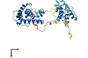 PARVG Protein (AA 1-331) (His tag)