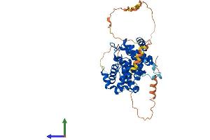 AlphaFold protein structure predicition of Human Recombinant CCNB1 Protein, UniprotID P14635
