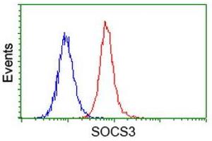 Flow cytometric Analysis of Hela cells, using anti-SOCS3 antibody (ABIN2454618), (Red), compared to a nonspecific negative control antibody, (Blue).