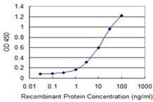 Detection limit for recombinant GST tagged RNF133 is 0. (RNF133 Antikörper  (AA 277-376))